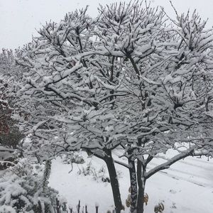 Meet your Posher, Jay